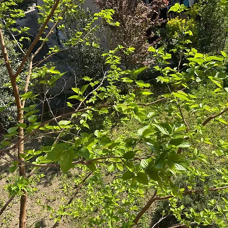 Valentina's Apartment Verona